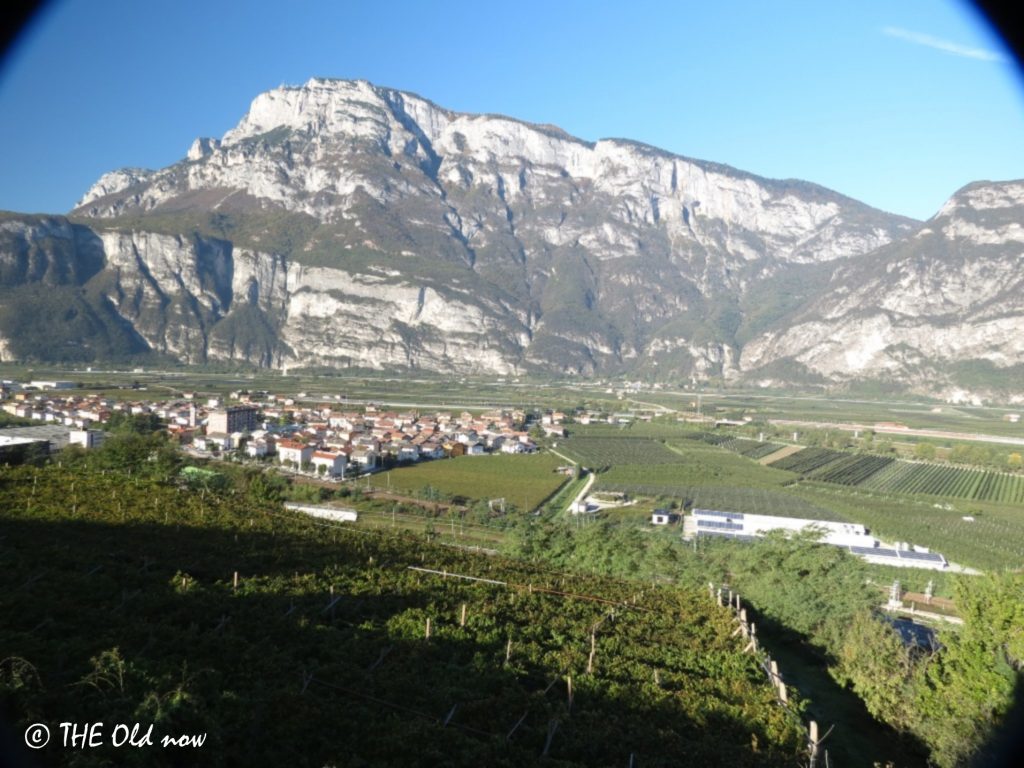 Vignaiolo Fanti